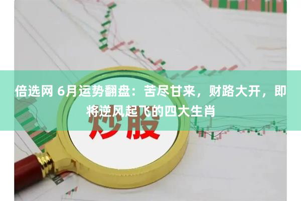 倍选网 6月运势翻盘：苦尽甘来，财路大开，即将逆风起飞的四大生肖