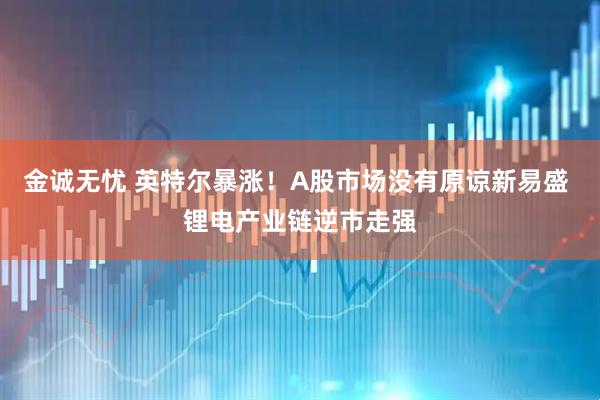 金诚无忧 英特尔暴涨！A股市场没有原谅新易盛 锂电产业链逆市走强